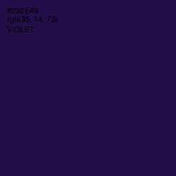 #230E49 - Violet Color Image