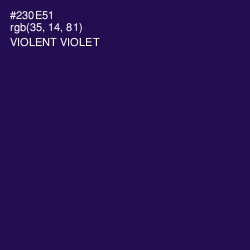 #230E51 - Violent Violet Color Image