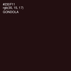 #230F11 - Gondola Color Image