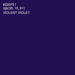 #230F51 - Violent Violet Color Image