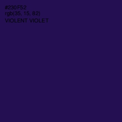 #230F52 - Violent Violet Color Image