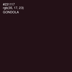 #231117 - Gondola Color Image