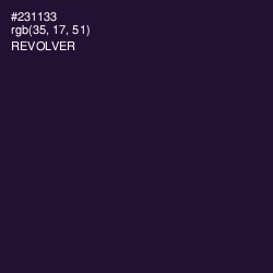 #231133 - Revolver Color Image