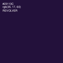 #23113C - Revolver Color Image