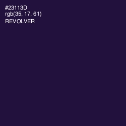 #23113D - Revolver Color Image