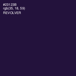 #23123B - Revolver Color Image