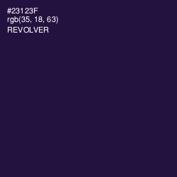 #23123F - Revolver Color Image