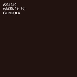 #231310 - Gondola Color Image