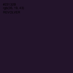 #23132B - Revolver Color Image