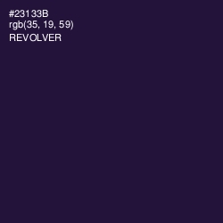 #23133B - Revolver Color Image
