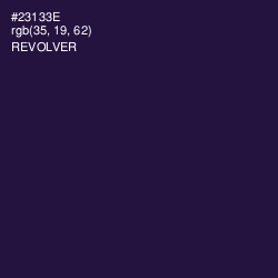#23133E - Revolver Color Image