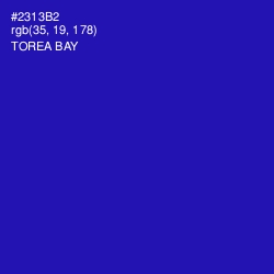#2313B2 - Torea Bay Color Image