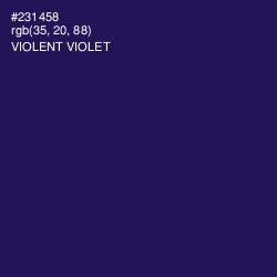 #231458 - Violent Violet Color Image