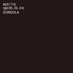 #231718 - Gondola Color Image