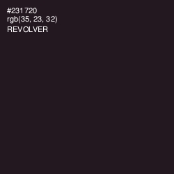 #231720 - Revolver Color Image