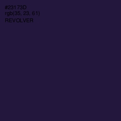 #23173D - Revolver Color Image