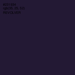 #231934 - Revolver Color Image