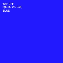 #2319FF - Blue Color Image