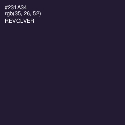 #231A34 - Revolver Color Image