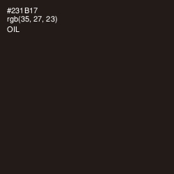#231B17 - Oil Color Image