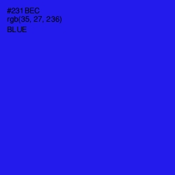 #231BEC - Blue Color Image