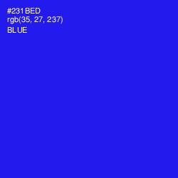 #231BED - Blue Color Image