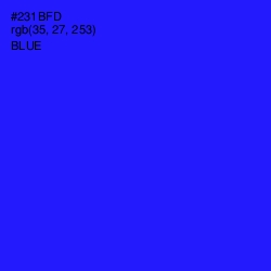 #231BFD - Blue Color Image