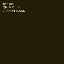#231D06 - Cannon Black Color Image