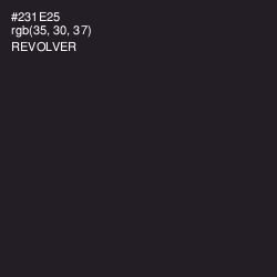 #231E25 - Revolver Color Image