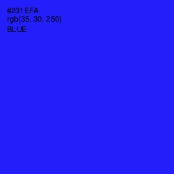 #231EFA - Blue Color Image