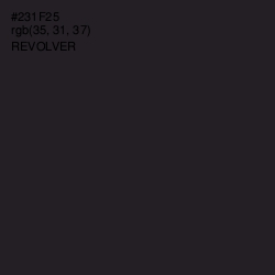 #231F25 - Revolver Color Image