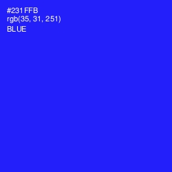 #231FFB - Blue Color Image