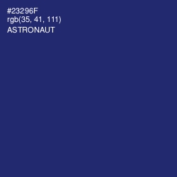 #23296F - Astronaut Color Image