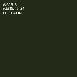 #232B18 - Log Cabin Color Image