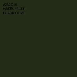 #232C16 - Black Olive Color Image