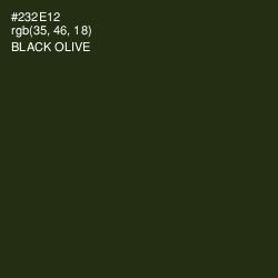 #232E12 - Black Olive Color Image