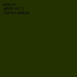 #233101 - Turtle Green Color Image