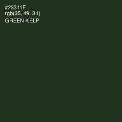 #23311F - Green Kelp Color Image