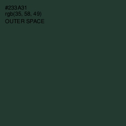 #233A31 - Outer Space Color Image