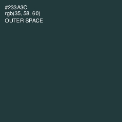 #233A3C - Outer Space Color Image