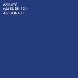 #233A7C - Astronaut Color Image