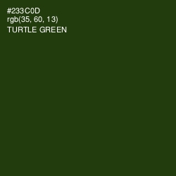 #233C0D - Turtle Green Color Image