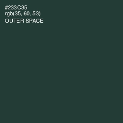#233C35 - Outer Space Color Image