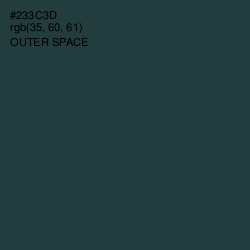 #233C3D - Outer Space Color Image