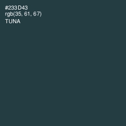 #233D43 - Tuna Color Image