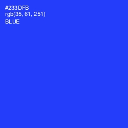 #233DFB - Blue Color Image