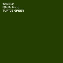 #233E00 - Turtle Green Color Image