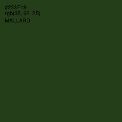 #233E19 - Mallard Color Image