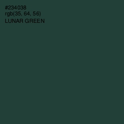 #234038 - Lunar Green Color Image