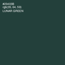 #23403B - Lunar Green Color Image